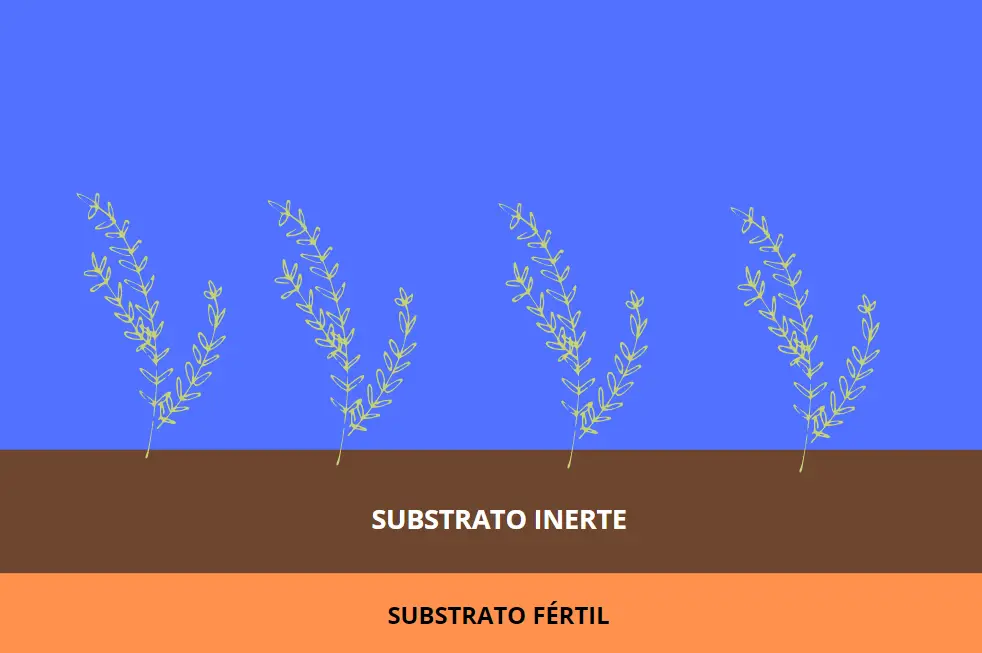 Representação de substrato inerte e fértil.
