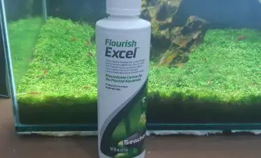 Flourish Excel
