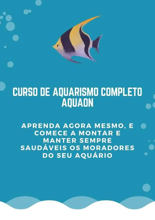 Curso de Aquarismo AquaOn