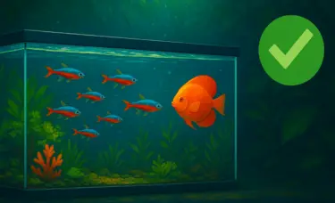 Um aquário retangular, com sinal de positivo do lado.