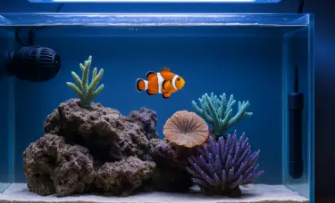 Aquário Marinho